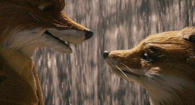 Fantastic Mr. Fox - Photos et affiches. 23 Wes Anderson dans Fantastic Mr. Fox 2009