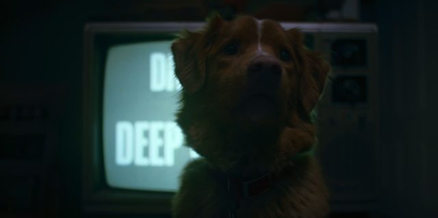 Good boy- Photos et affiches. 13 Scène dans Good boy 2025