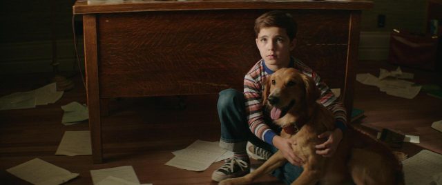 Mes vies de chien - Photos et affiches. 37 Britt Robertson et Dennis Quaid dans Mes vies de chien A dog's purpose 2017