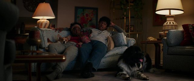 Mes vies de chien - Photos et affiches. 39 Britt Robertson et Dennis Quaid dans Mes vies de chien A dog's purpose 2017