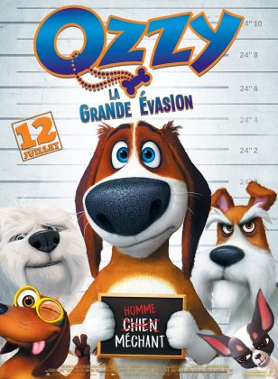 Affiche Poster de Ozzy la grande évasion 2016