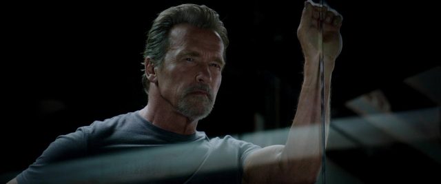 Évasion. 6 Sylvester Stallone et Arnold Schwarzenegger dans Évasion Escape Plan 2013