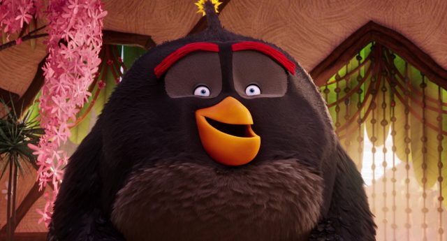 Angry Birds, le film - Photos et affiches. 27 Scène de Angry Birds le film movie 2016