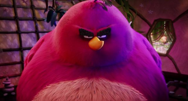 Angry Birds, le film - Photos et affiches. 34 Scène de Angry Birds le film movie 2016