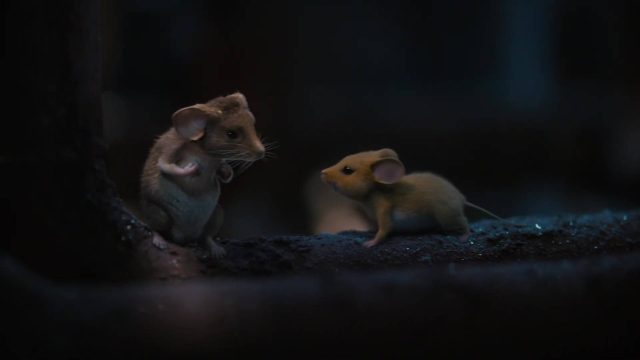 Panique à Noël - Photos et affiches. 9 Scène dans Panique à Noël Hvis ingen går i fella A mouse hunt for Christmas 2025