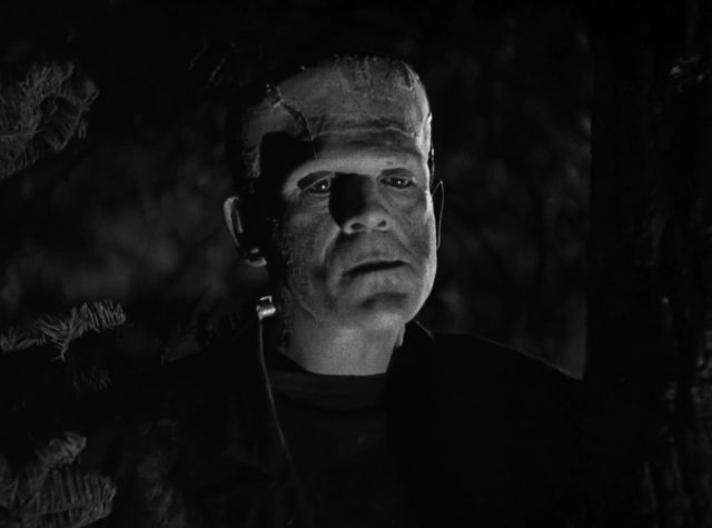 La fiancée de Frankenstein - Photos et affiches. 13 Boris Karloff dans La fiancée de Frankenstein Bride 1935