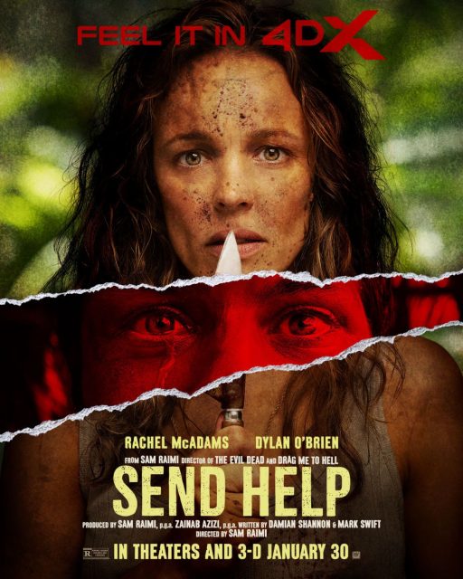 Send Help. 18 Affiche Poster de Send Help avec Rachel McAdams et Dylan O'Brien 2026
