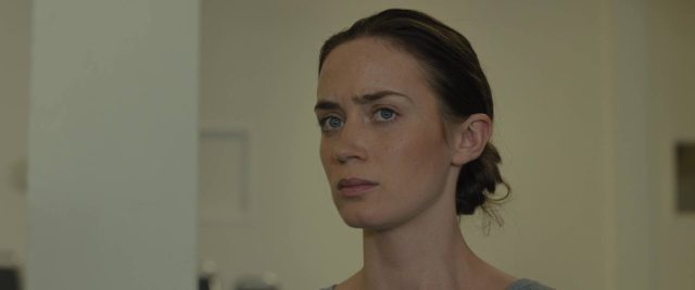 Sicario. 5 Emily Blunt et Benicio del Toro dans Sicario 2015