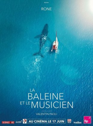 La baleine et le musicien - Streaming. 19 La baleine et le musicien – Streaming.