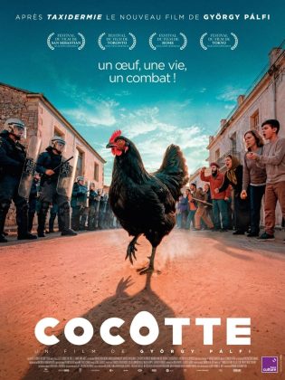 Cocotte - Streaming. 25 Cocotte – Streaming.