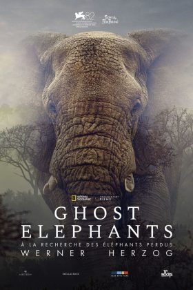 Affiche Poster de Ghost Elephants 2026