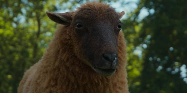 Les moutons détectives. 2 Hugh Jackman et Emma Thompson dans Les moutons détectives Sheep 2026