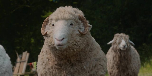 Les moutons détectives. 5 Hugh Jackman et Emma Thompson dans Les moutons détectives Sheep 2026