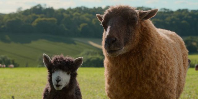 Les moutons détectives - Photos et affiches. 13 Hugh Jackman et Emma Thompson dans Les moutons détectives Sheep 2026