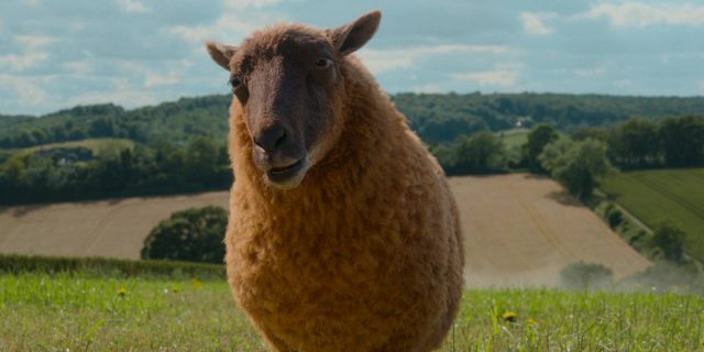 Les moutons détectives - Photos et affiches. 20 Hugh Jackman et Emma Thompson dans Les moutons détectives Sheep 2026