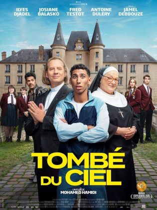 Tombé du ciel - Streaming. 8 Affiche Poster de Tombé du ciel avec Ilyes Djadel Josiane Balasko et Fred Testot 2026