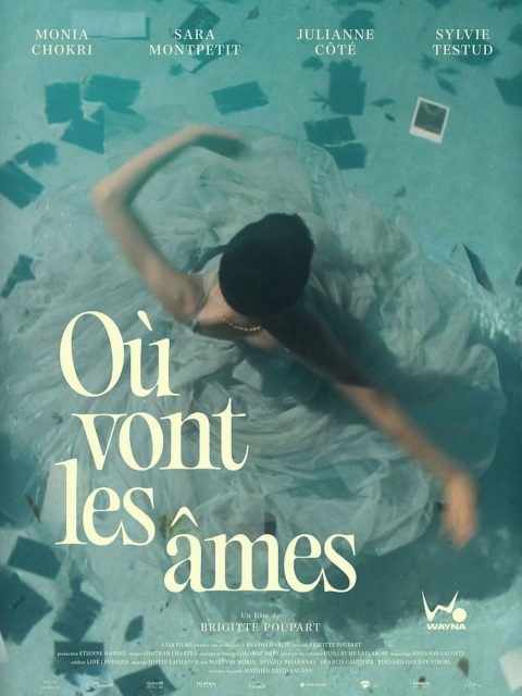 Où vont les âmes - Streaming. 1 Affiche Poster de Où vont les âmes avec Monia Chokri Sylvie Testud et Julianne Côté 2026
