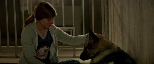 Megan Leavey. 22 Kate Mara dans Megan Leavey 2017